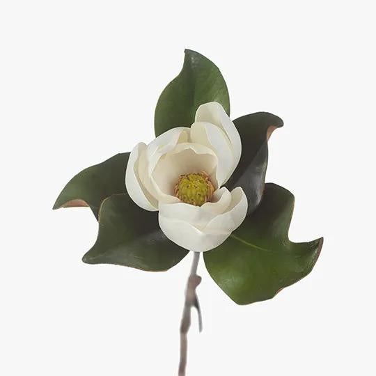 Magnolia White 60 cm