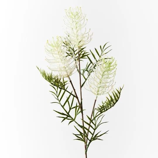 Grevillea Spray White 84cm