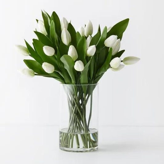 Tulip Mix in Vase White LARGE 45cm