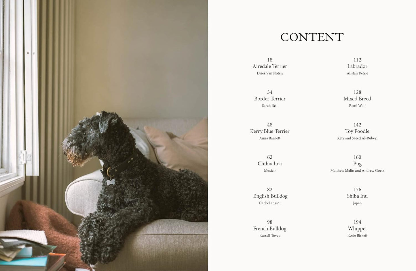 DOG: Stories of Dog Ownership book