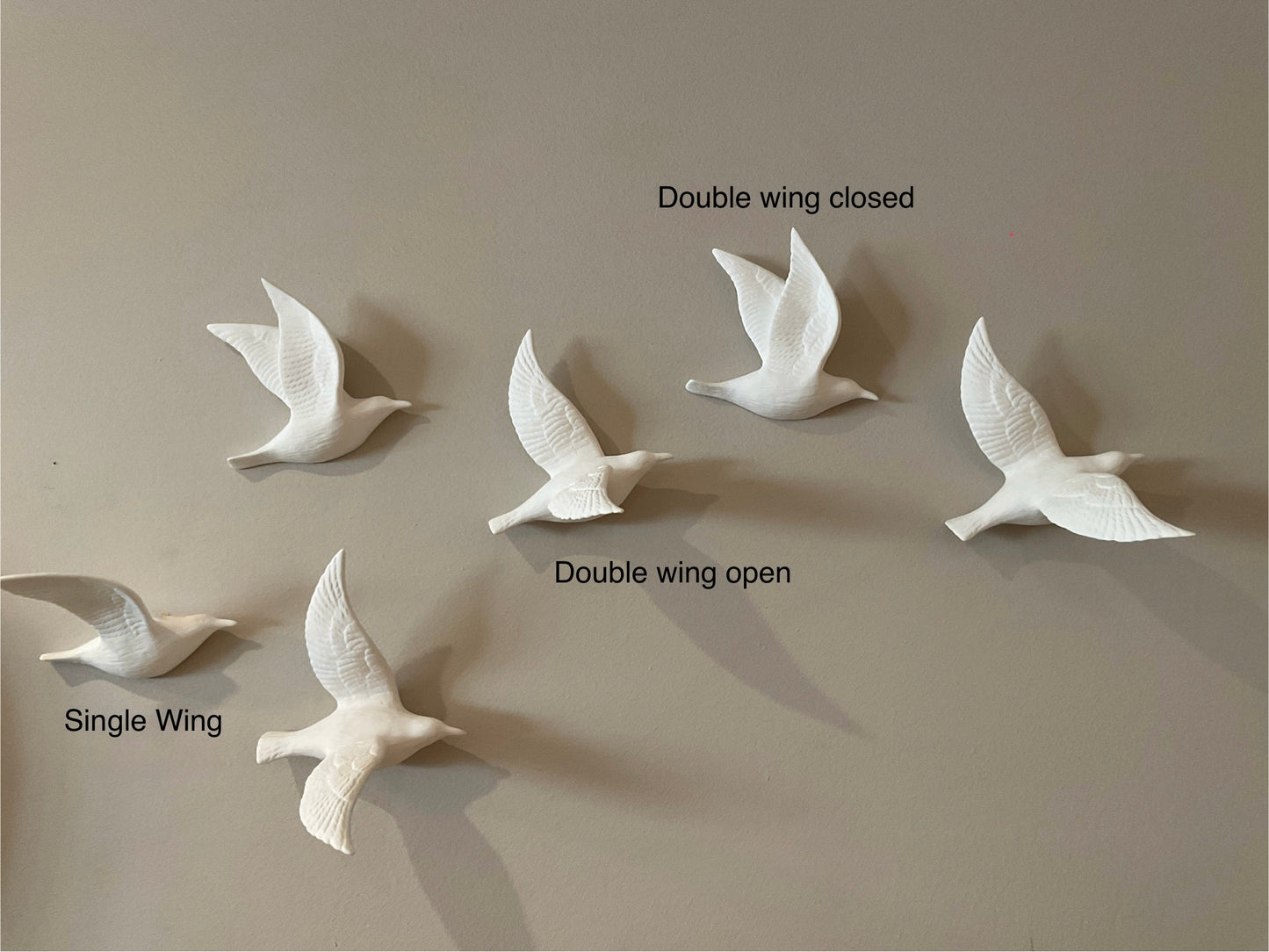 Flying Bird Assorted