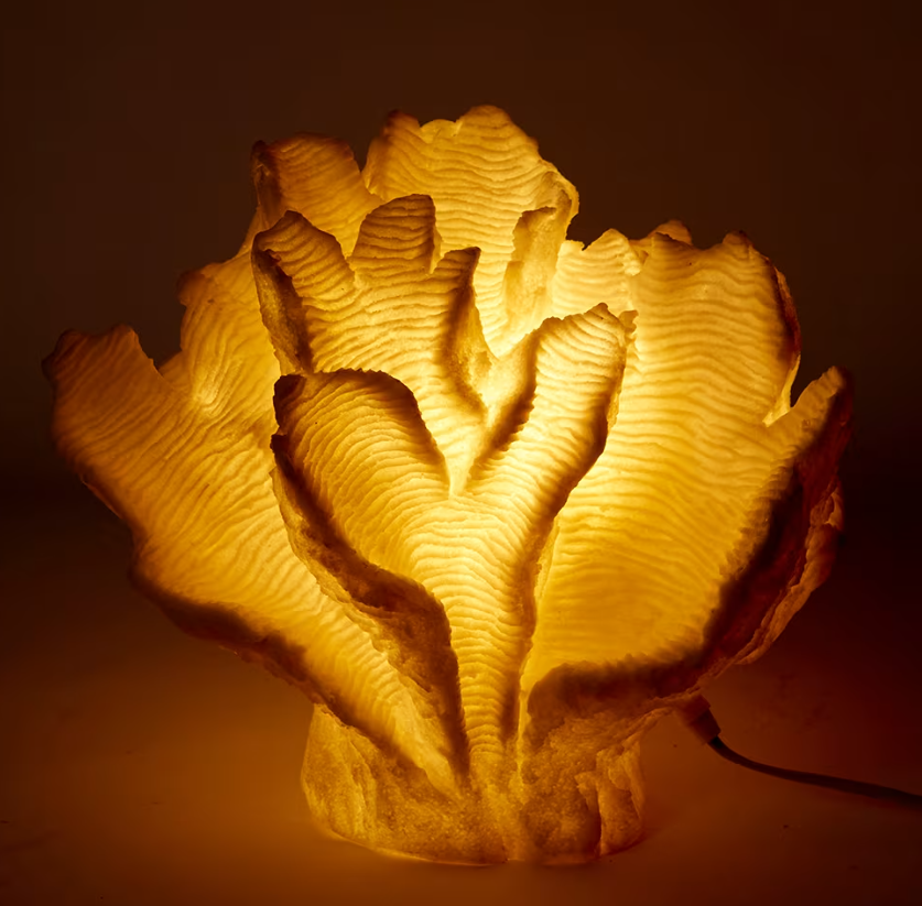 Coral Lamp Leaf - 34 x 24 x 30cm