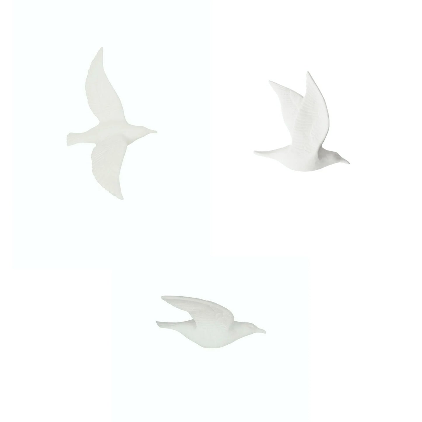 Flying Bird Assorted