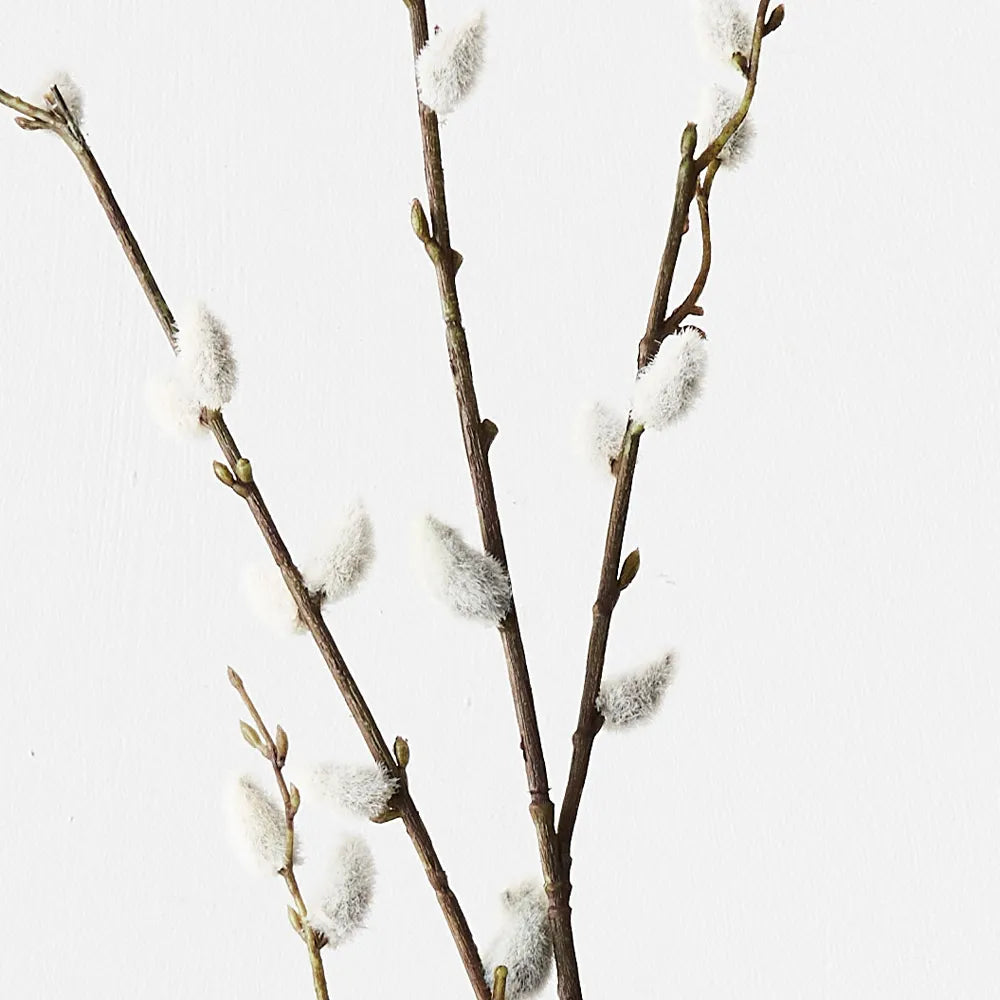 Pussy Willow Spray Brown 116cml