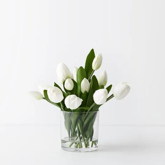 Tulip Mix in Vase  White SMALL 12 cm
