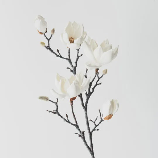 Japanese Magnolia Spray WHITE 100 cm