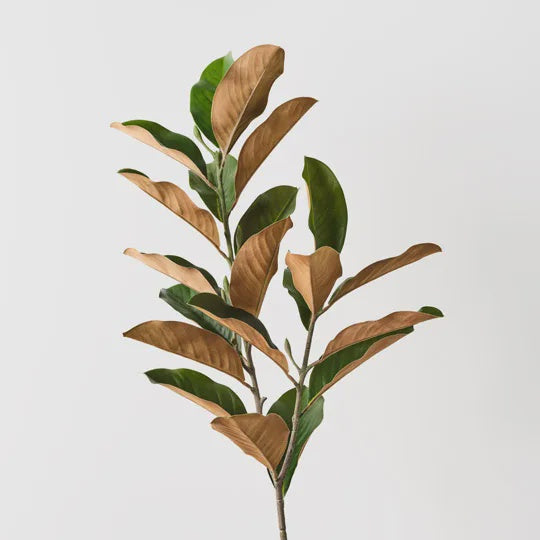 Magnolia Leaf Spray - Green 110cm