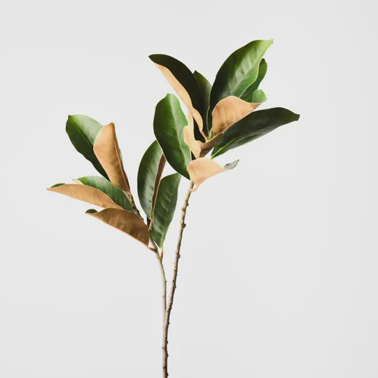 Magnolia Leaf Spray - Green 70cm