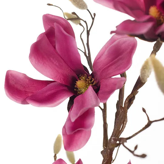 Magnolia Japanese Spray Fuschia 95cm