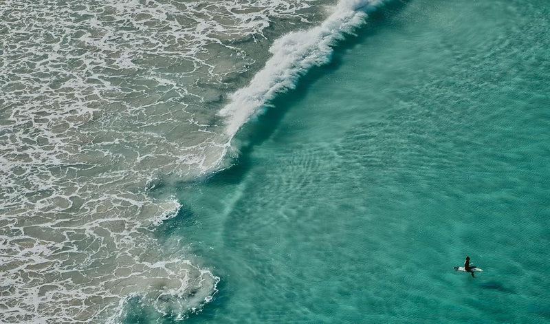 Life Around The Sea