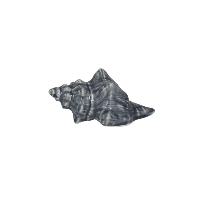 Sea Snail Shell 13x9 - Blue