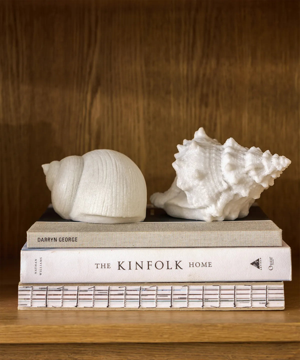 Snail Shell Decorative Light