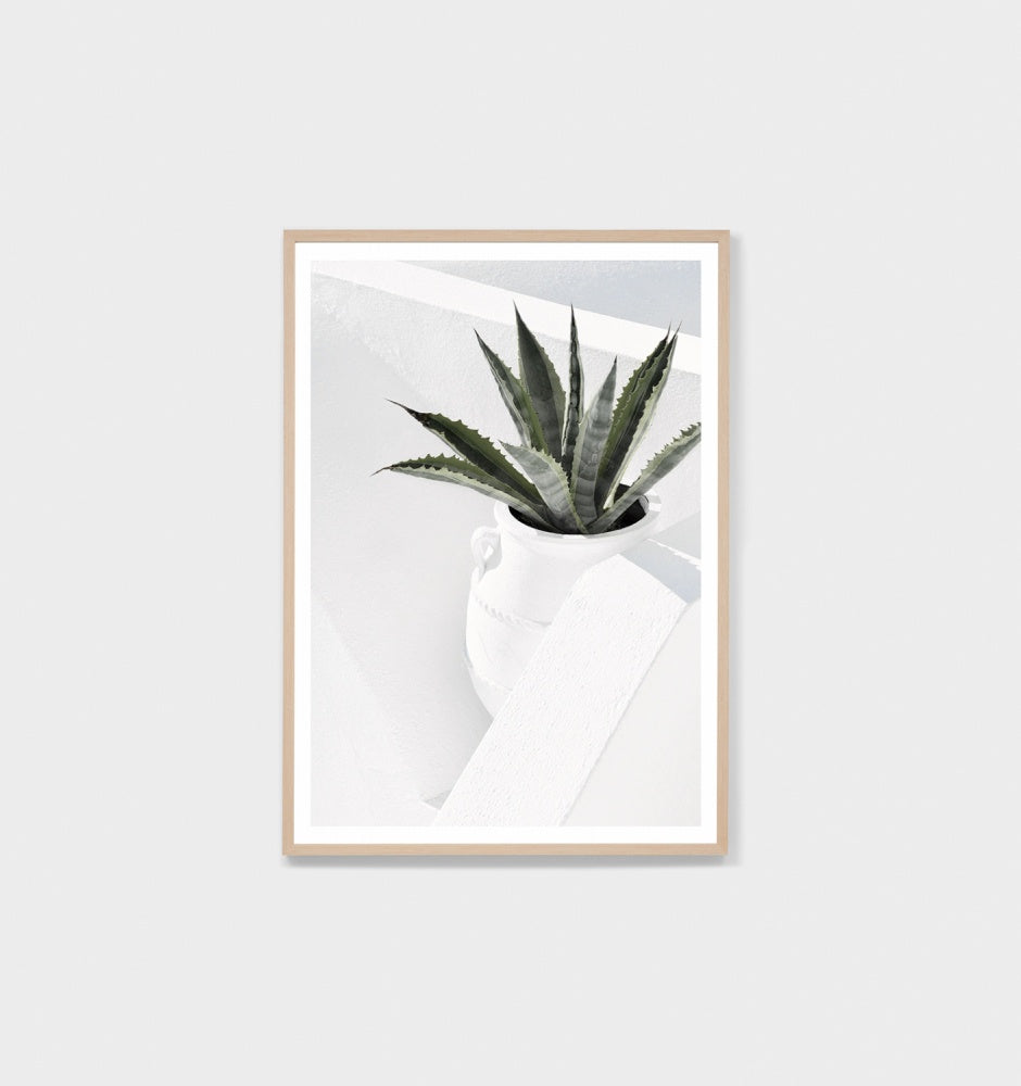Summer Agave, 87x122 Raw Timber Frame - PICK UP ONLY