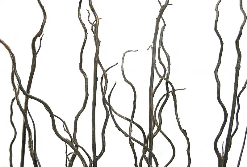 Twig Curly Willow 100 cm Spray