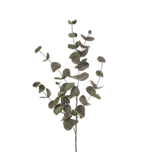 Eucalyptus Silver Dollar Dark Green 60cm