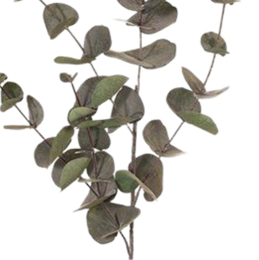 Eucalyptus Silver Dollar Dark Green 60cm