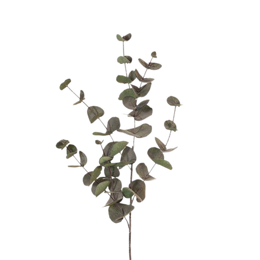 Eucalyptus Silver Dollar Dark Green 101cm