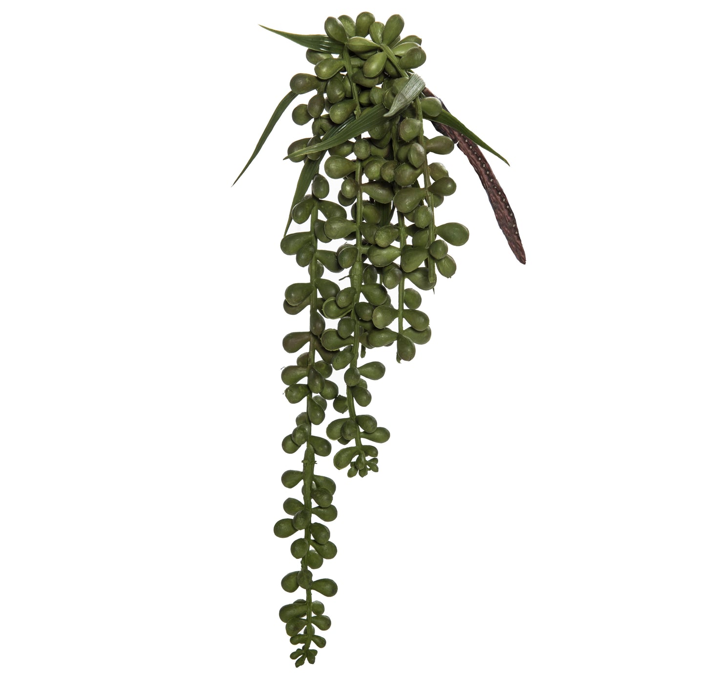 Hanging Pearls Small