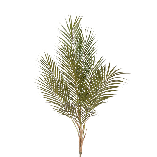 Palm Phoenix Spray