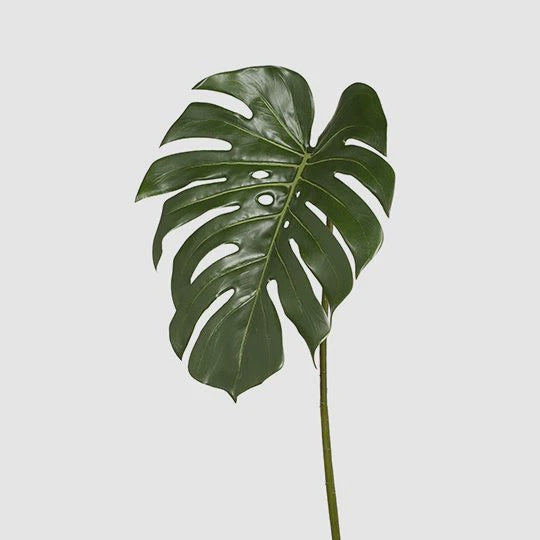 Monstera Leaf 80cm