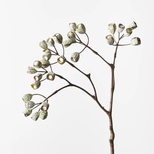 Eucalyptus Tetragona Spray - White/Green 65 cm