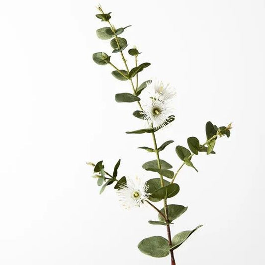 Eucalyptus Flowering Dollar White 76 cm
