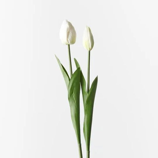 Tulip Bloom and Bud White 2/pce