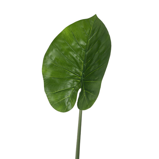 Calla Leaf Single 60cm