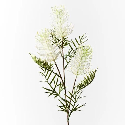 Grevillea Spray White 84cm