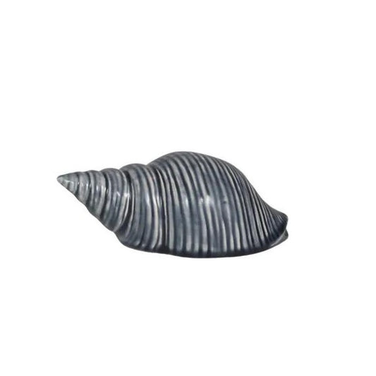 Sea Snail Ceramic Shell 14x7x5