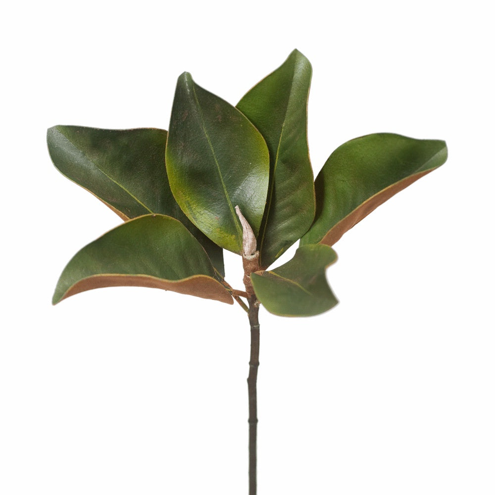 Magnolia Foliage 35cm