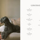 DOG: Stories of Dog Ownership book