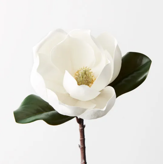 Magnolia White 35cm