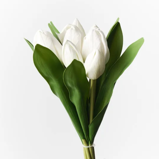 Tulip Bunch - White 30cm