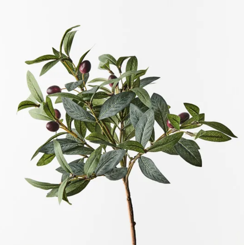 Olive Leaf Pick - Grey Green 40cm