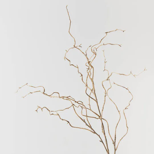 Twig Curly Willow 100 cm Spray