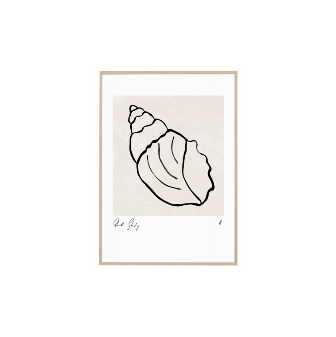 Shell Study II, Raw Timber Frame 62x87 - PICK UP ONLY