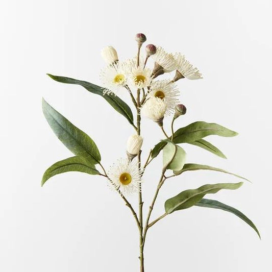 Eucalyptus Flowering Spray White 76 cm