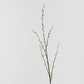 Pussy Willow Spray Brown 116cml
