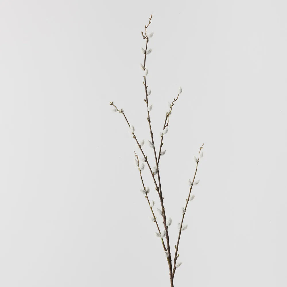Pussy Willow Spray Brown 116cml