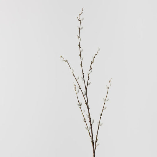 Pussy Willow Spray Brown 116cml