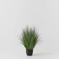 Grass Plant 90cm