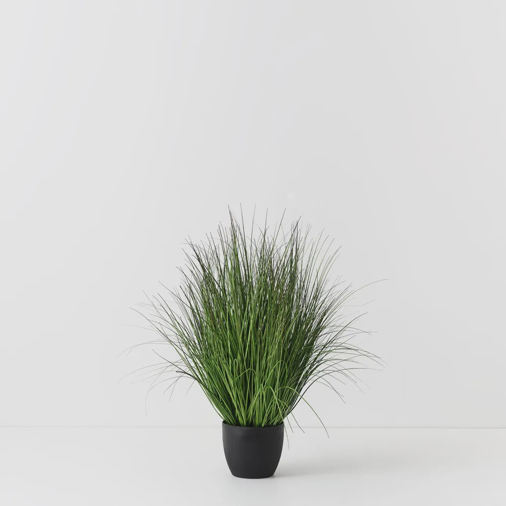 Grass Plant 90cm