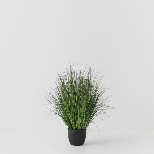 Grass Plant 90cm