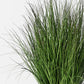 Grass Plant 90cm