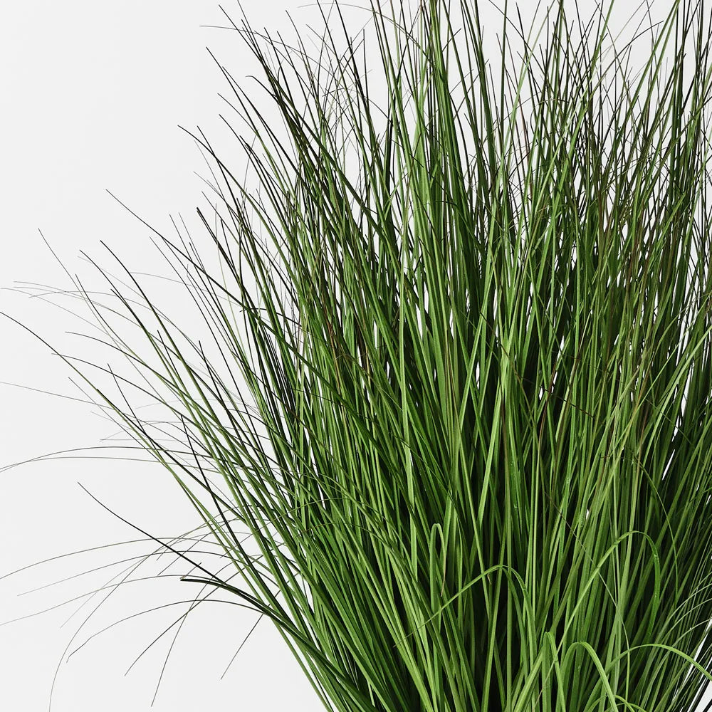 Grass Plant 90cm