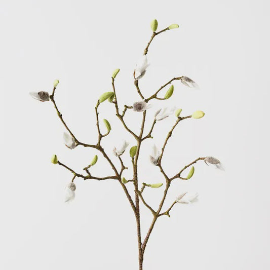 Magnolia Bud Spray - White 96cm