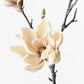 Japanese Magnolia Spray CREAM 79 cm