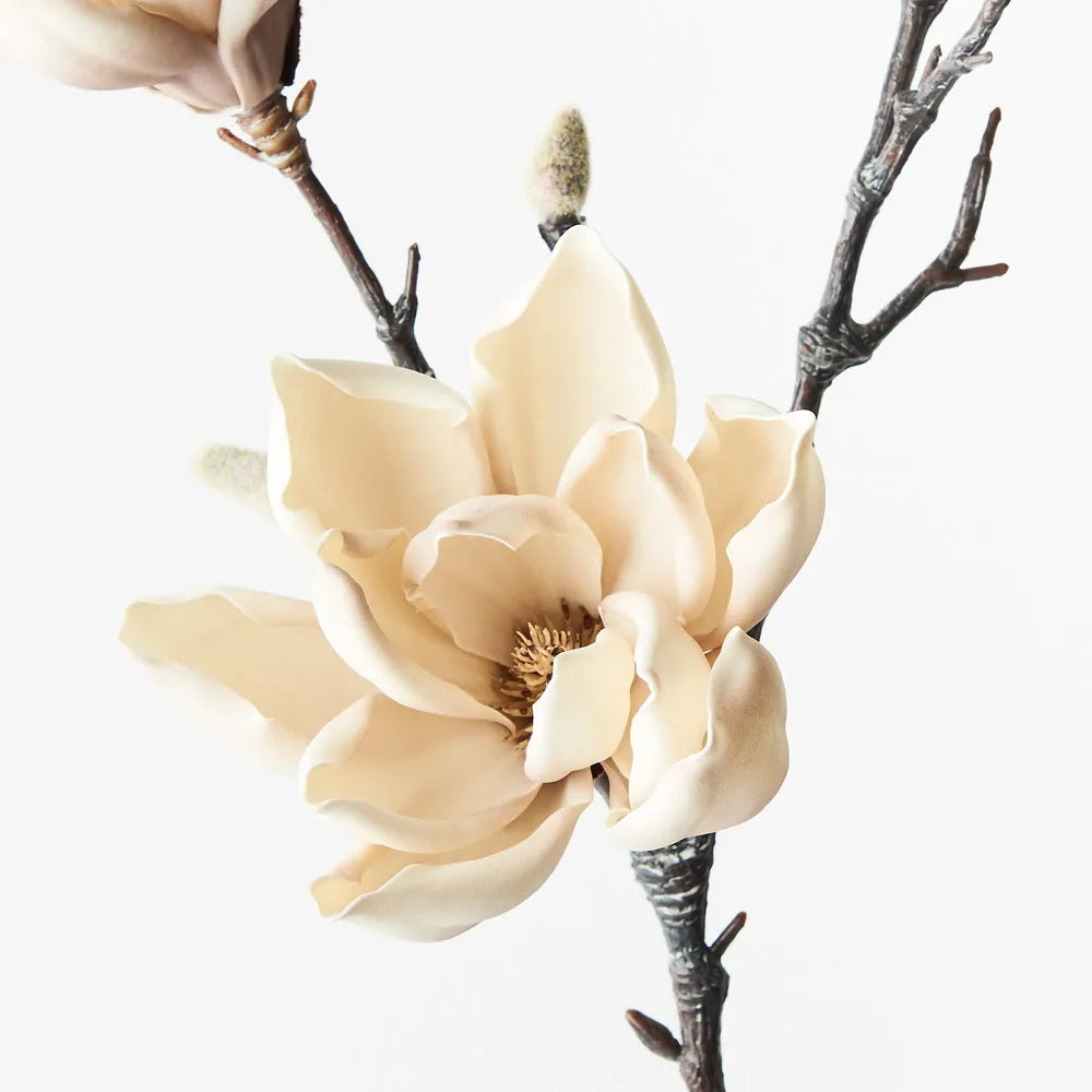 Japanese Magnolia Spray CREAM 79 cm