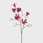 Magnolia Japanese Spray Fuschia 95cm